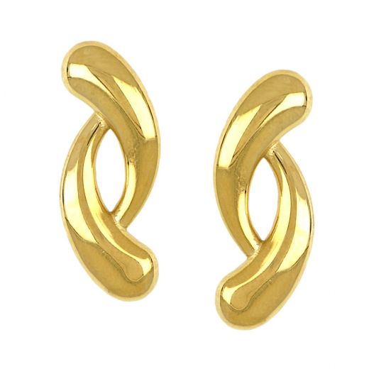 Εarrings made of stainless steel gold plated with a special design